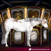 Horse Color:White Spotted Bay Splash Frame 