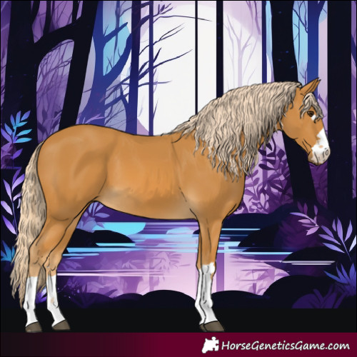 Horse Color:Palomino 