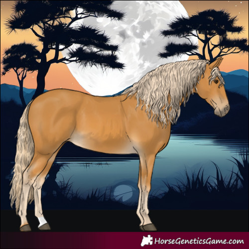 Horse Color:Palomino 