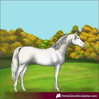 Horse Color:Cremello Roan Splash  and Cremello Roan Splash 