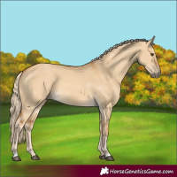 Horse Color:Palomino Dun 