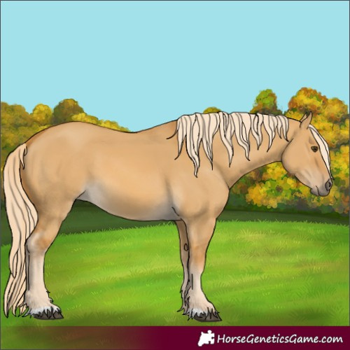 Horse Color:Palomino Dun 