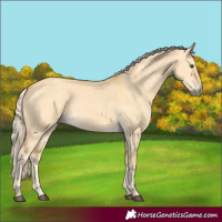 Horse Color:Palomino Dun