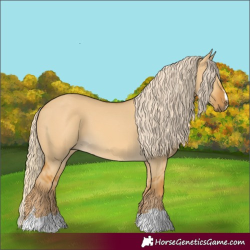 Horse Color:Palomino Dun 