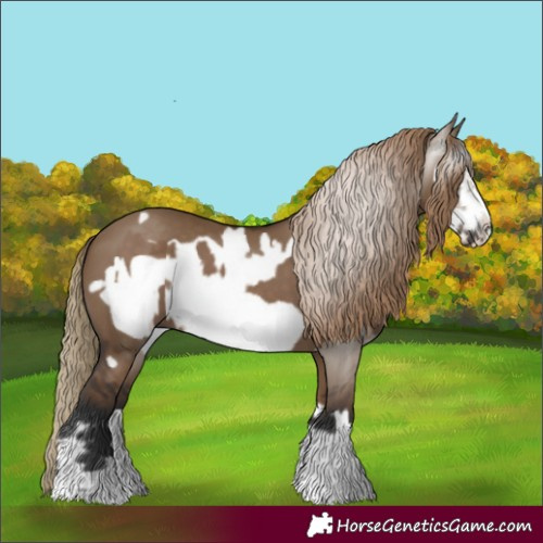 Horse Color:Liver Red Dun Frame and Gray Liver Red Dun Frame