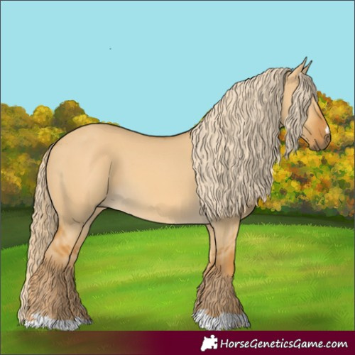 Horse Color:Palomino Dun 