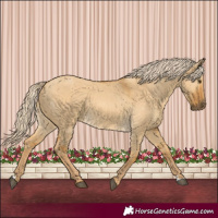 Horse Color:Palomino Dun 
