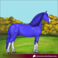 Horse Color:Watercolor White Spotted Black 