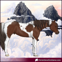 Horse Color:Liver Chestnut Tobiano 