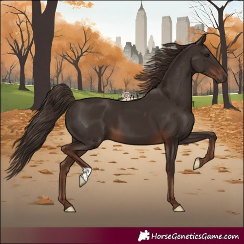 Horse Color:Liver Chestnut 