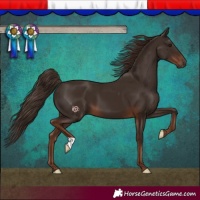 Horse Color:Liver Chestnut
