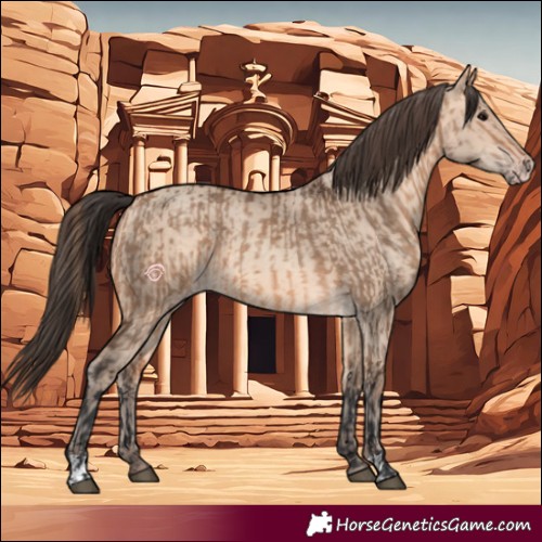 Horse Color:Bay Dun  and Amber Champagne Dun 