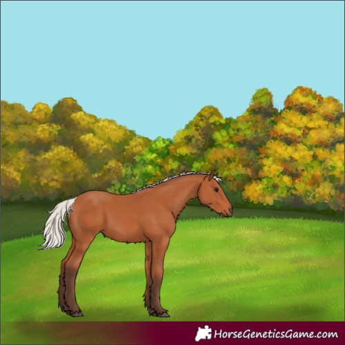 Horse Color:Silver Bay