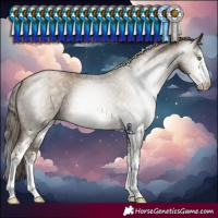 Horse Color:Gray Smoky Black Pearl Sabino