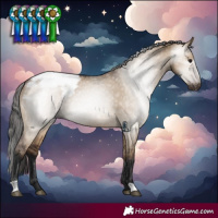 Horse Color:Gray Bay Dun Snowcap 