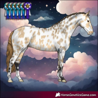 Horse Color:Buckskin Dun Near Leopard Brindle 