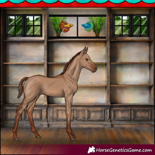 Horse Color:Red Dun 