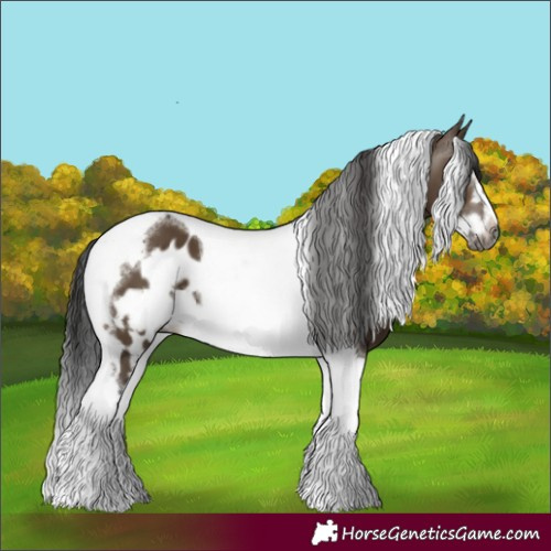 Horse Color:Gray Brown Dun Tobiano Frame Skewed LP Spotted