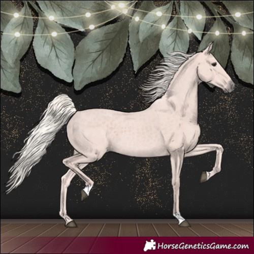 Horse Color:Silver Black