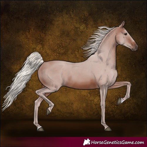 Horse Color:Silver Brown 