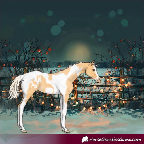 Horse Color:Silver Buckskin Dun Splash Tobiano Frame Appaloosa Rabicano 