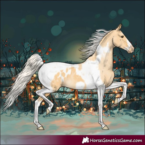 Horse Color:Silver Buckskin Dun Splash Tobiano Frame Appaloosa Rabicano 