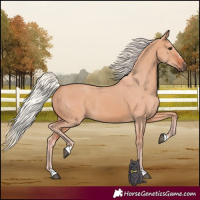 Horse Color:Silver Brown Dun 