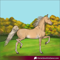 Horse Color:Palomino Dun 