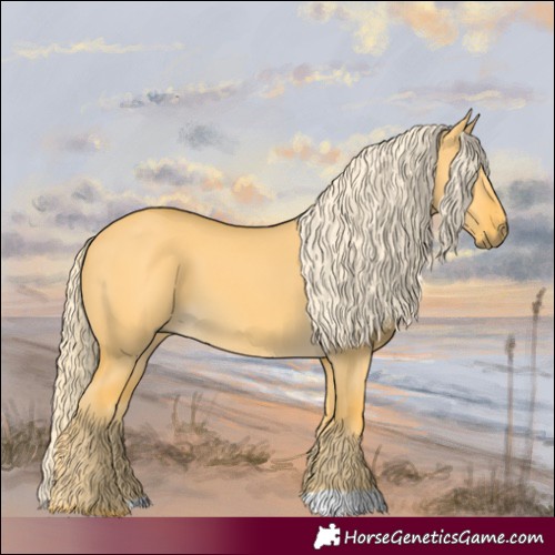 Horse Color:Palomino Dun 