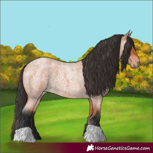 Horse Color:Bay Roan Tobiano 