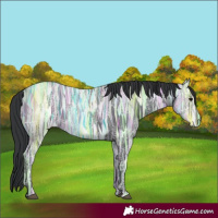Horse Color:Black Ice