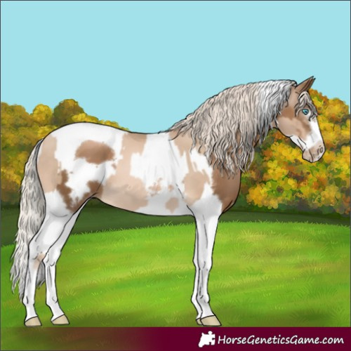 Horse Color:Chocolate Palomino Pearl Tobiano Frame  and Gray Chocolate Palomino Pearl Tobiano Frame 