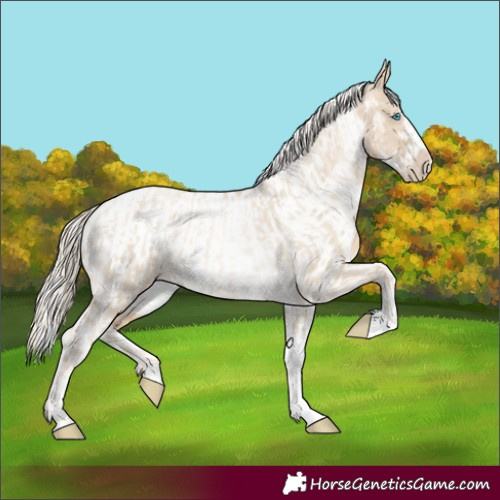 Horse Color:Chocolate Palomino Pearl Dun Tobiano Frame Rabicano and Chocolate Palomino Pearl Dun Tobiano Frame Appaloosa Rabicano