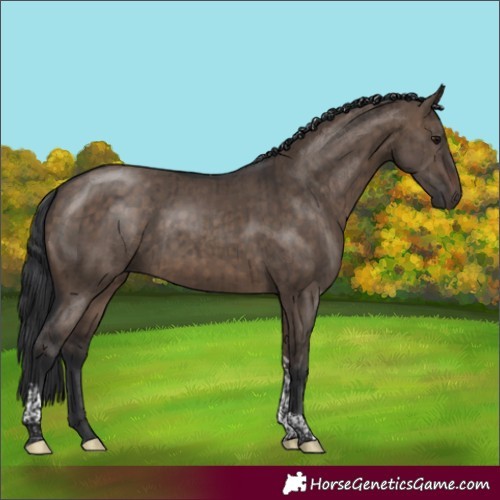 Horse Color:Brown Dun Tobiano Brindle 