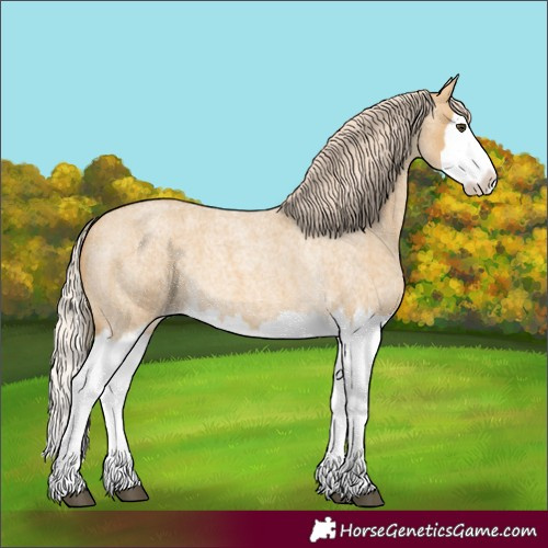 Horse Color:Palomino Roan Dun Splash 