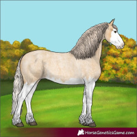 Horse Color:Palomino Roan Dun Splash 