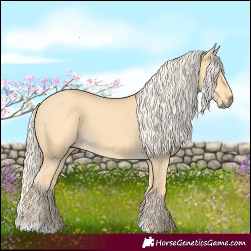 Horse Color:Palomino Dun 