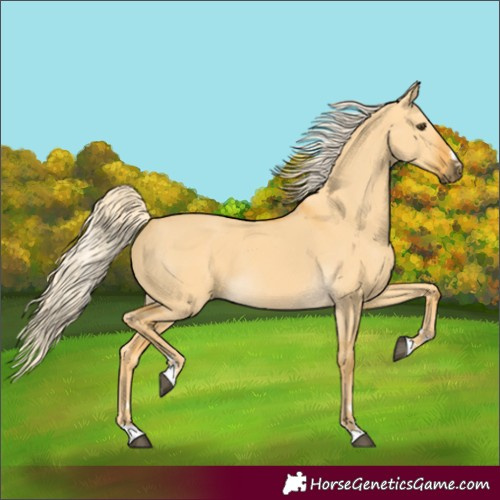 Horse Color:Palomino Dun 