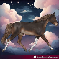 Horse Color:Liver Chestnut Tobiano Rabicano 