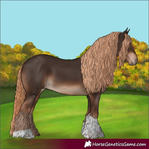 Horse Color:Liver Chestnut Tobiano Rabicano