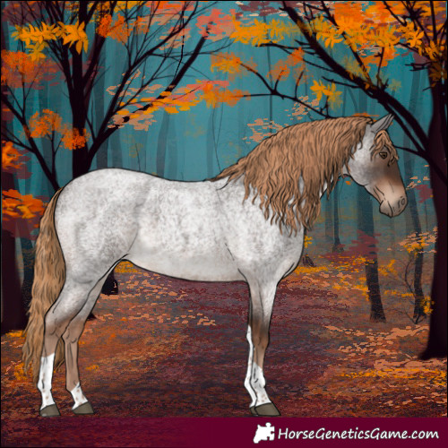 Horse Color:Liver Red Roan Tobiano Rabicano 