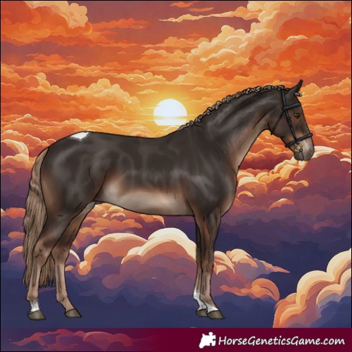 Horse Color:Liver Chestnut Tobiano Rabicano 