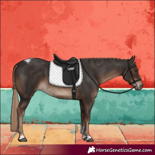 Horse Color:Liver Chestnut Tobiano Rabicano 