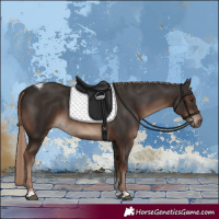 Horse Color:Liver Chestnut Tobiano Rabicano