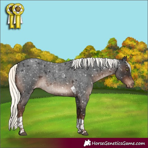 Horse Color:Liver Red Roan Mushroom Tobiano Appaloosa Rabicano 