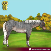 Horse Color:Liver Red Roan Mushroom Tobiano Appaloosa Rabicano