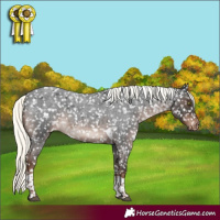 Horse Color:Liver Red Roan Mushroom Tobiano Appaloosa Rabicano 