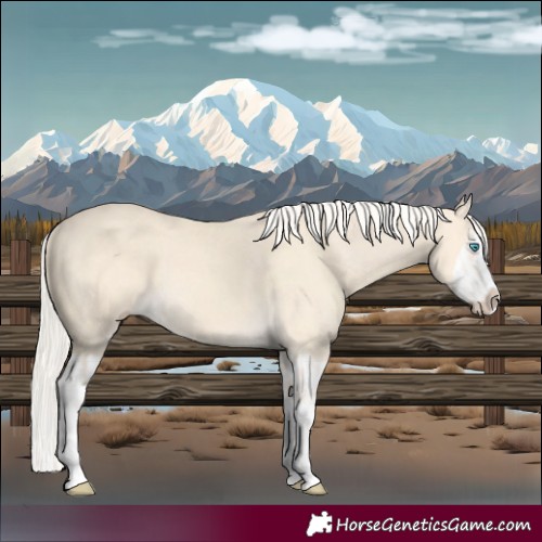 Horse Color:Cremello Splash  and Cremello Splash 