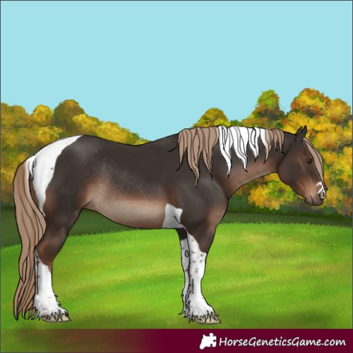 Horse Color:Liver Chestnut Tobiano Rabicano