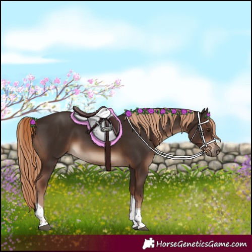 Horse Color:Liver Chestnut Tobiano Rabicano 